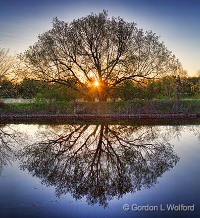 Tree At Sunrise_09687-8.jpg - Photographed along the Rideau Canal Waterway near Smiths Falls, Ontario, Canada.